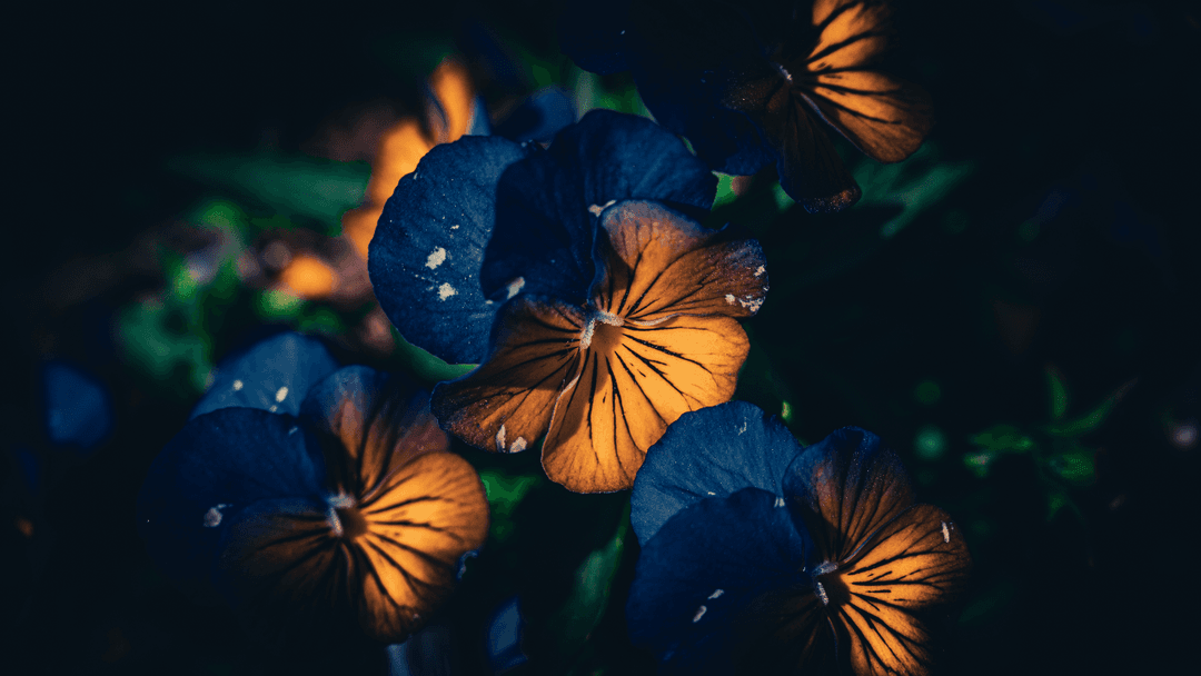 AI Predictive Maintenance System